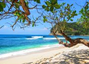 Arti Mimpi Jalan Jalan Ke Pantai menurut Agama, Psikologi dan Primbon Jawa