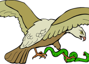 Arti Mimpi Melihat Burung Elang menurut Agama, Psikologi dan Primbon Jawa