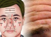 Arti Mimpi Diludahi Di Wajah menurut Agama, Psikologi dan Primbon Jawa