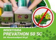 Arti Mimpi Muntah Ulat menurut Agama, Psikologi dan Primbon Jawa