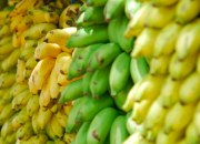 Arti Mimpi Melihat Pisang Mentah menurut Agama, Psikologi dan Primbon Jawa