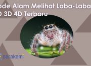 Arti Mimpi Melihat Laba Laba menurut Agama, Psikologi dan Primbon Jawa