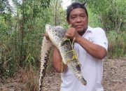 Arti Mimpi Mancing Dapat Buaya menurut Agama, Psikologi dan Primbon Jawa