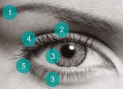 Arti Mimpi Mata Kedutan Sebelah Kanan Atas menurut Agama, Psikologi dan Primbon Jawa