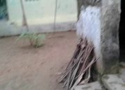 Arti Mimpi Di Intip Orang Saat Mandi menurut Agama, Psikologi dan Primbon Jawa