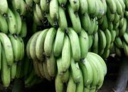 Arti Mimpi Buah Pisang menurut Agama, Psikologi dan Primbon Jawa