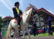 Arti Mimpi Naik Kuda Putih menurut Agama, Psikologi dan Primbon Jawa