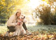 Arti Mimpi Memelihara Anjing menurut Agama, Psikologi dan Primbon Jawa