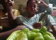 Arti Mimpi Makan Jambu Air Hijau menurut Agama, Psikologi dan Primbon Jawa