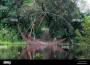 Arti Mimpi Menjala Ikan menurut Agama, Psikologi dan Primbon Jawa