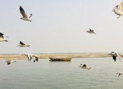 Arti Mimpi Terbang Di Atas Laut menurut Agama, Psikologi dan Primbon Jawa