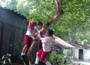 Arti Mimpi Naik Pohon menurut Agama, Psikologi dan Primbon Jawa