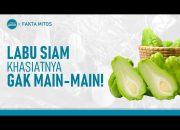 Arti Mimpi Memetik Buah Labu Siam menurut Agama, Psikologi dan Primbon Jawa