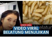 Arti Mimpi Belatung Keluar Dari Tubuh menurut Agama, Psikologi dan Primbon Jawa