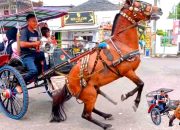 Arti Mimpi Melihat Kuda Ngamuk menurut Agama, Psikologi dan Primbon Jawa