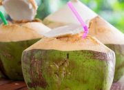 Khasiat Susu Sapi Murni: Minuman Alami Penambah Energi