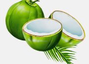 Khasiat Kelapa Bakar: Tradisi Unik Penyehat Tubuh