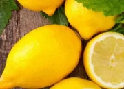 Khasiat Jeruk Lemon untuk Imunitas dan Kulit Cerah