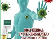 Khasiat Meniran Hijau: Herbal Peningkat Sistem Imun
