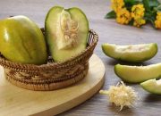 Khasiat Buah Kedondong untuk Imunitas Tubuh