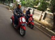 Panther vs Canter: Adu Irit Konsumsi Solar Siapa Juaranya?