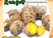 Khasiat Empu Kunyit: Warisan Herbal Nusantara