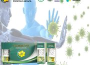 Khasiat Obat Propolis: Suplemen Alami Penjaga Imunitas