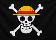 Bendera One Piece Berkibar di Tengah Aksi Demonstrasi di Indonesia, Nepal, dan Prancis