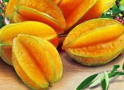 Belimbing Wuluh dan Khasiatnya untuk Diet Alami