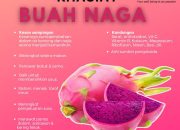 Khasiat Memakan Buah Naga: Buah Cantik Penyehat Tubuh