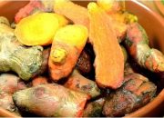 Khasiat Tanaman Kunyit sebagai Obat Tradisional