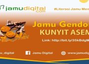 Khasiat Kunyit Asem: Ramuan Segar Penenang Hati