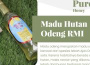 Khasiat Madu Odeng Asli: Cita Rasa Unik Manfaat Hebat