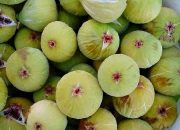 Khasiat Buah Tin: Buah Surga dengan Segudang Manfaat