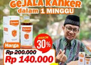 Khasiat Daun Meniran dan Temulawak untuk Daya Tahan Tubuh
