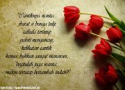 10 Gambar Bunga Dan Kata Kata Mutiara
