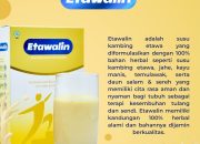 Khasiat Susu Kambing Etawa: Susu Premium Kaya Nutrisi