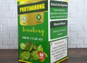 Khasiat Daun Binahong Merah: Herbal Ajaib Penyembuh Luka