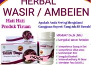 Khasiat Daun Ungu untuk Wasir: Solusi Herbal Ampuh