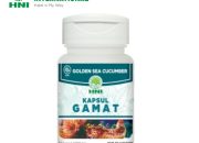 Khasiat Gamat HPAI untuk Kesehatan Tubuh dan Sendi