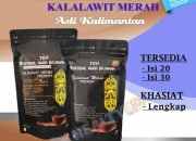 Khasiat Bajakah Merah: Herbal Legendaris Penangkal Penyakit