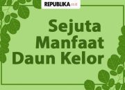Khasiat Rebusan Daun Kelor: Herbal Sejuta Manfaat